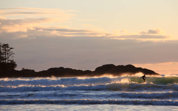 surf in the surfing capital of canada, tofino