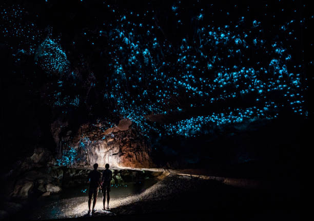 Glowing Caves of Waitomo, New Zealand