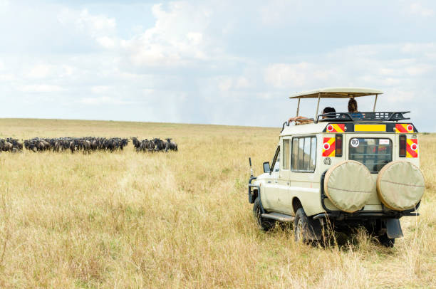 go glamping and wildlife viewing in masai mara